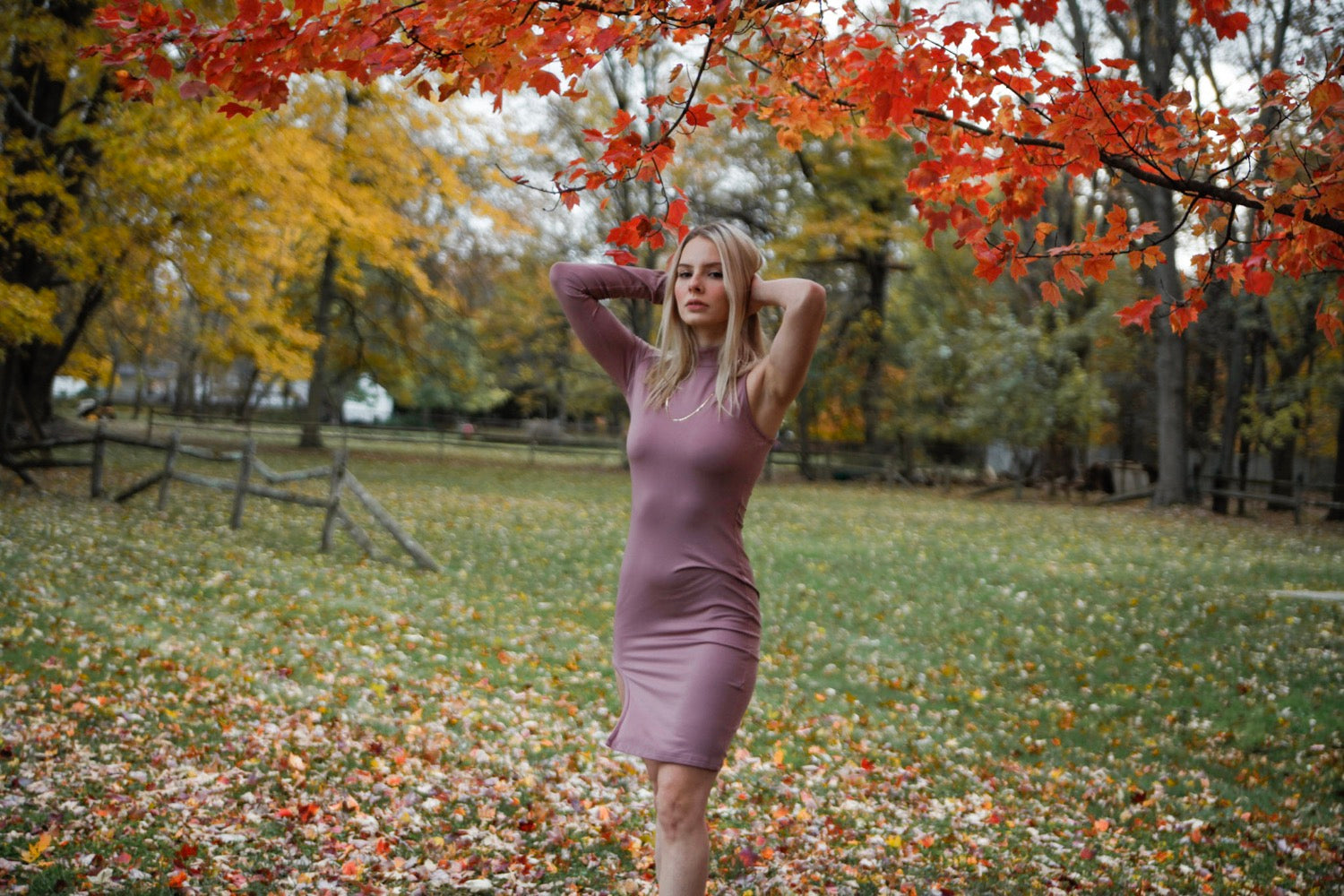 Cindy image 6